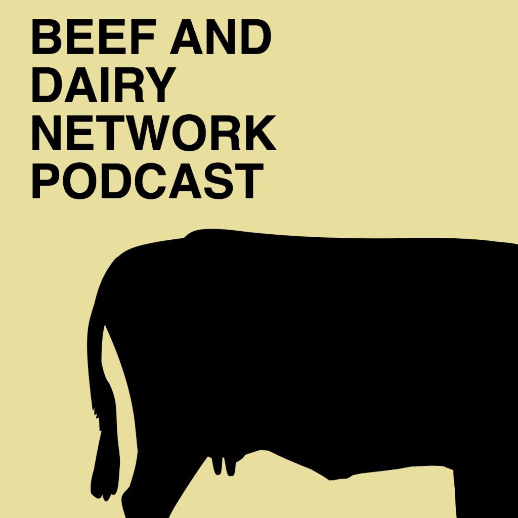 I’m on the Beef & Dairy Network Podcast